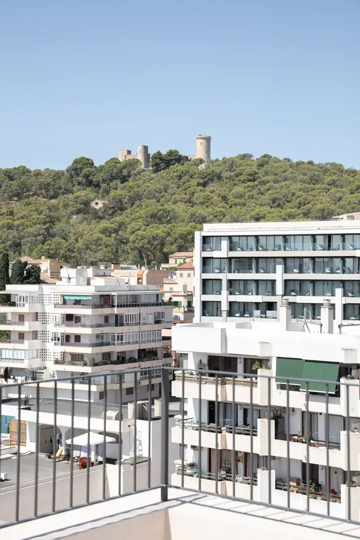 Mini appartamento con terrazza in vendita a Ponent, imagen 50