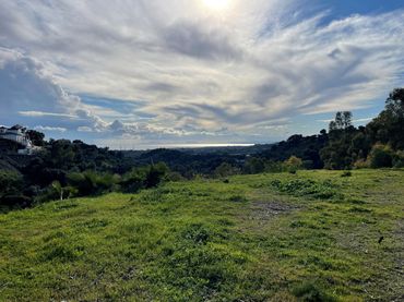 Terrenos y solares en venta en Selwo