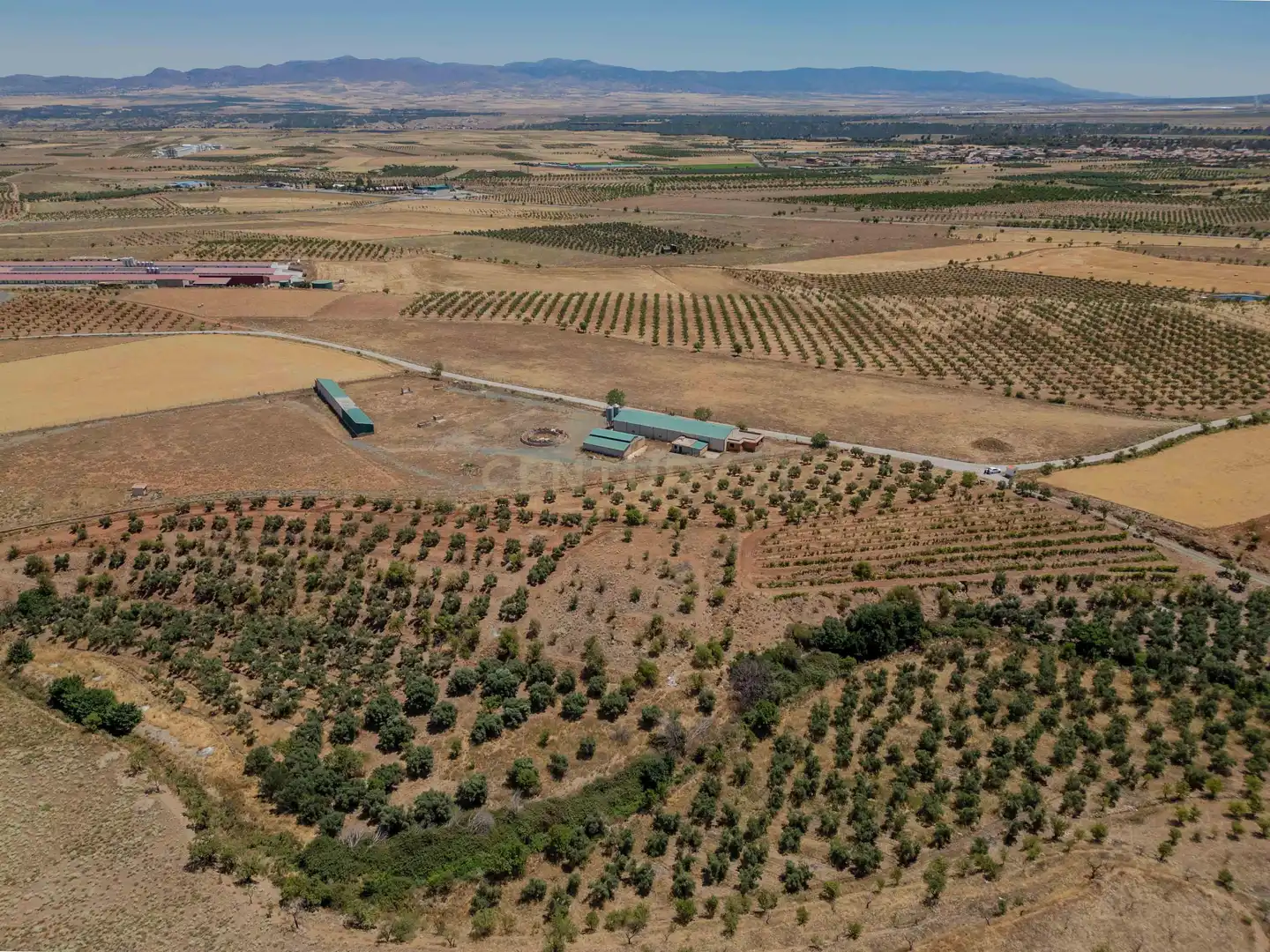 Terreno en venta en Cogollos de Guadix