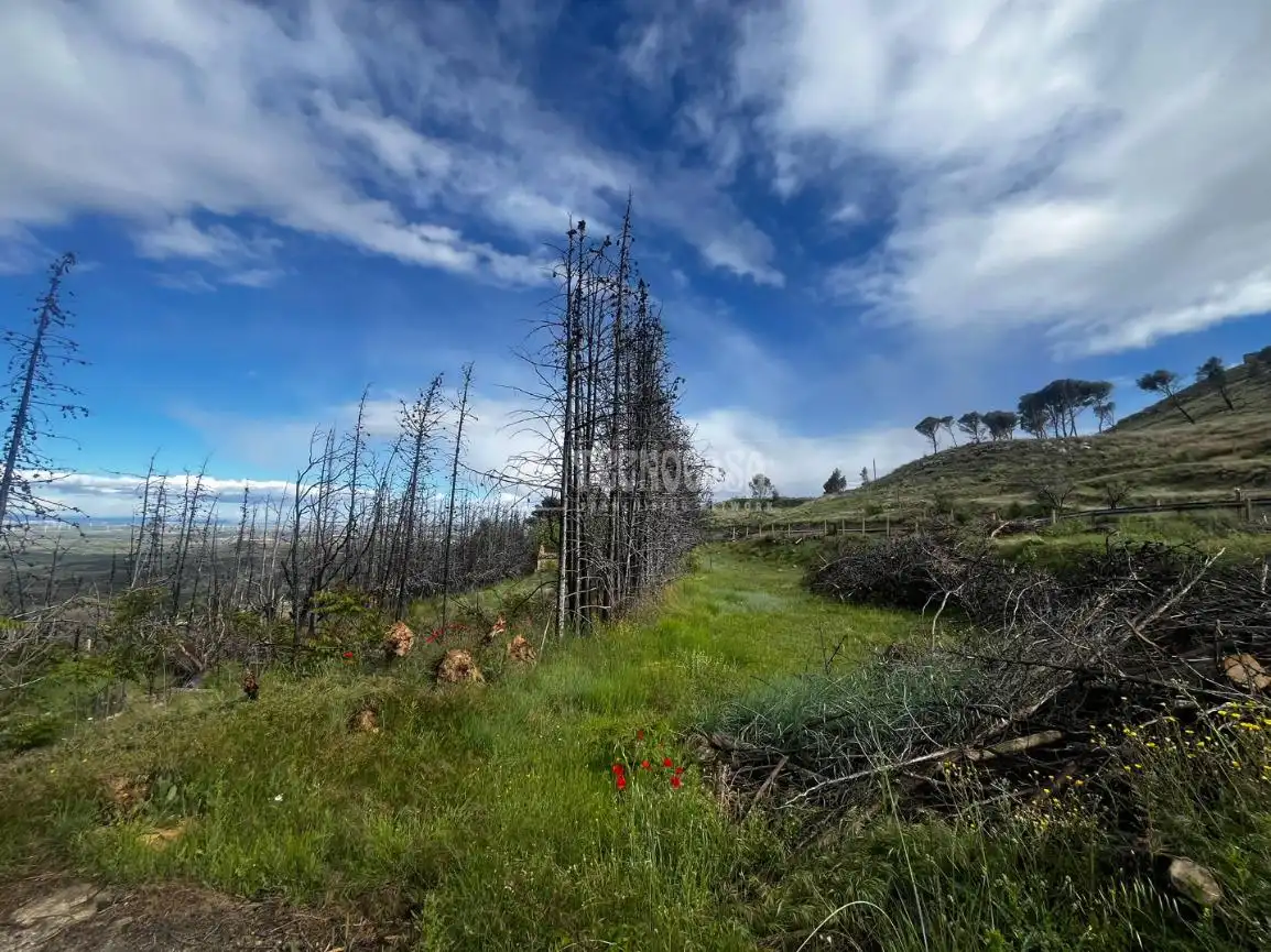 Land for sale in Borja