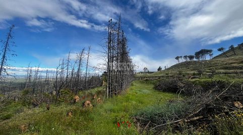 Photo 4 of Land for sale in Borja, Zaragoza