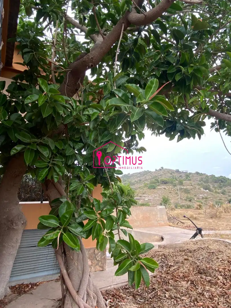 Casa o chalet en venta en Loriguilla con Piscina