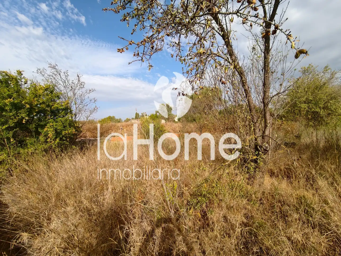 Terreno rústico en venta en CV-3710 164, imagen 2