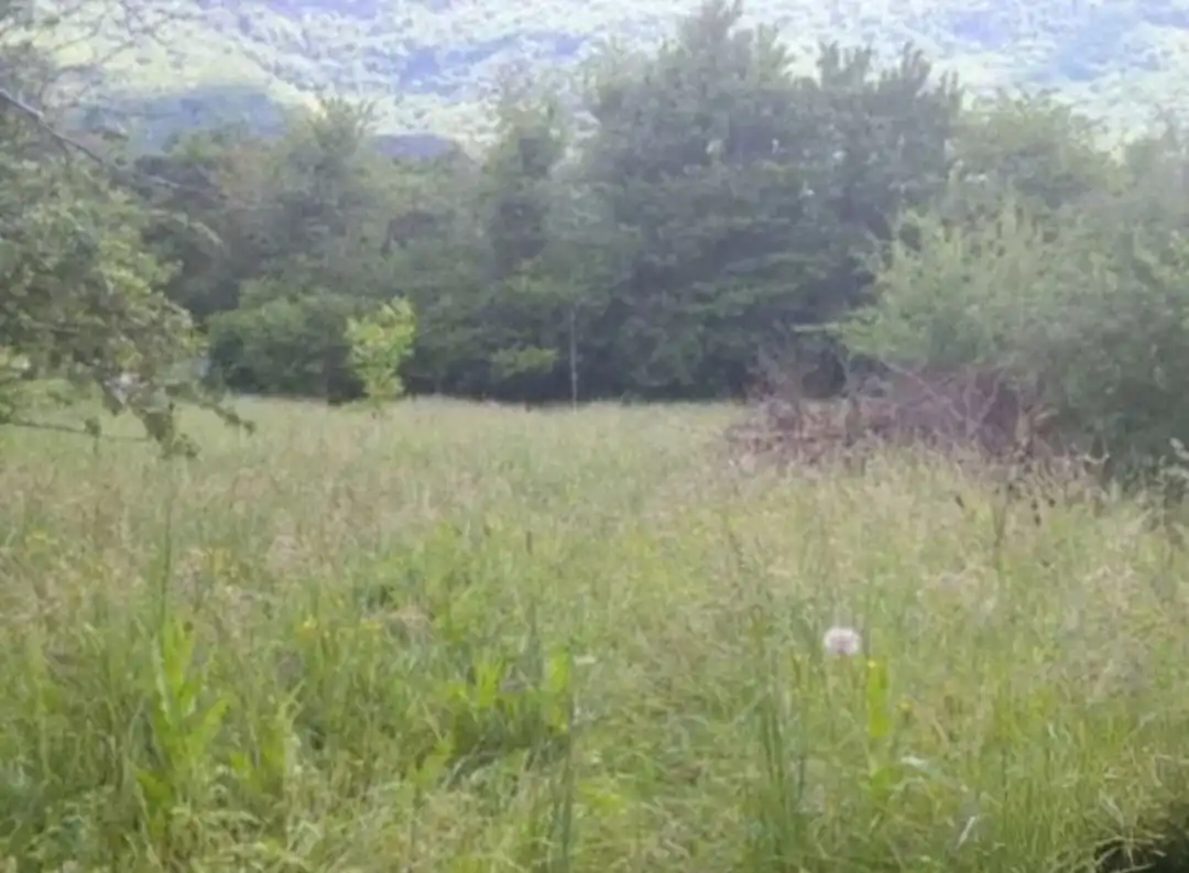 Residential land for sale in Villalonquéjar, imagen 2
