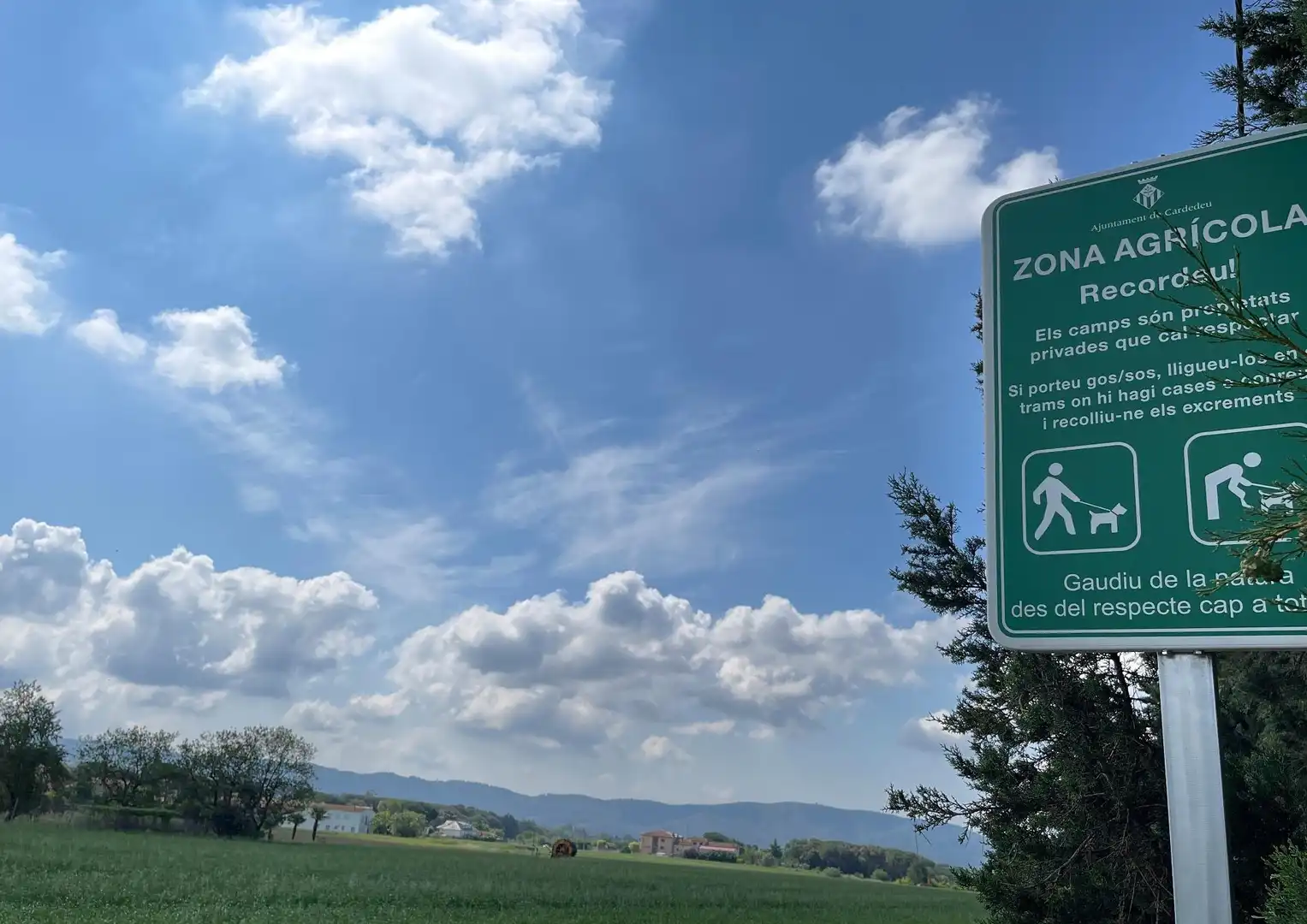 Terreno rustico in vendita a ALFOU Y S JAUME, imagen 5