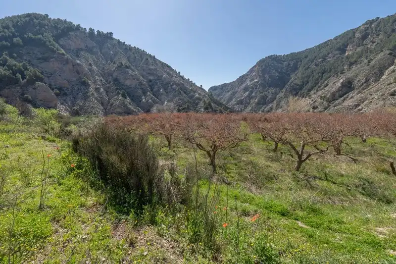 Terreni e lotti in vendita a Villamena, imagen 23