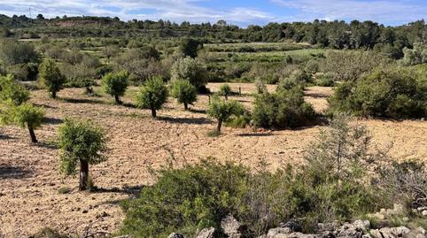 Photo 3 of Land for sale in  Polígono 26 Parcela 21 Casa Blanca-barbeta. Torre, 26, Poligono Mas del Jutge, Valencia