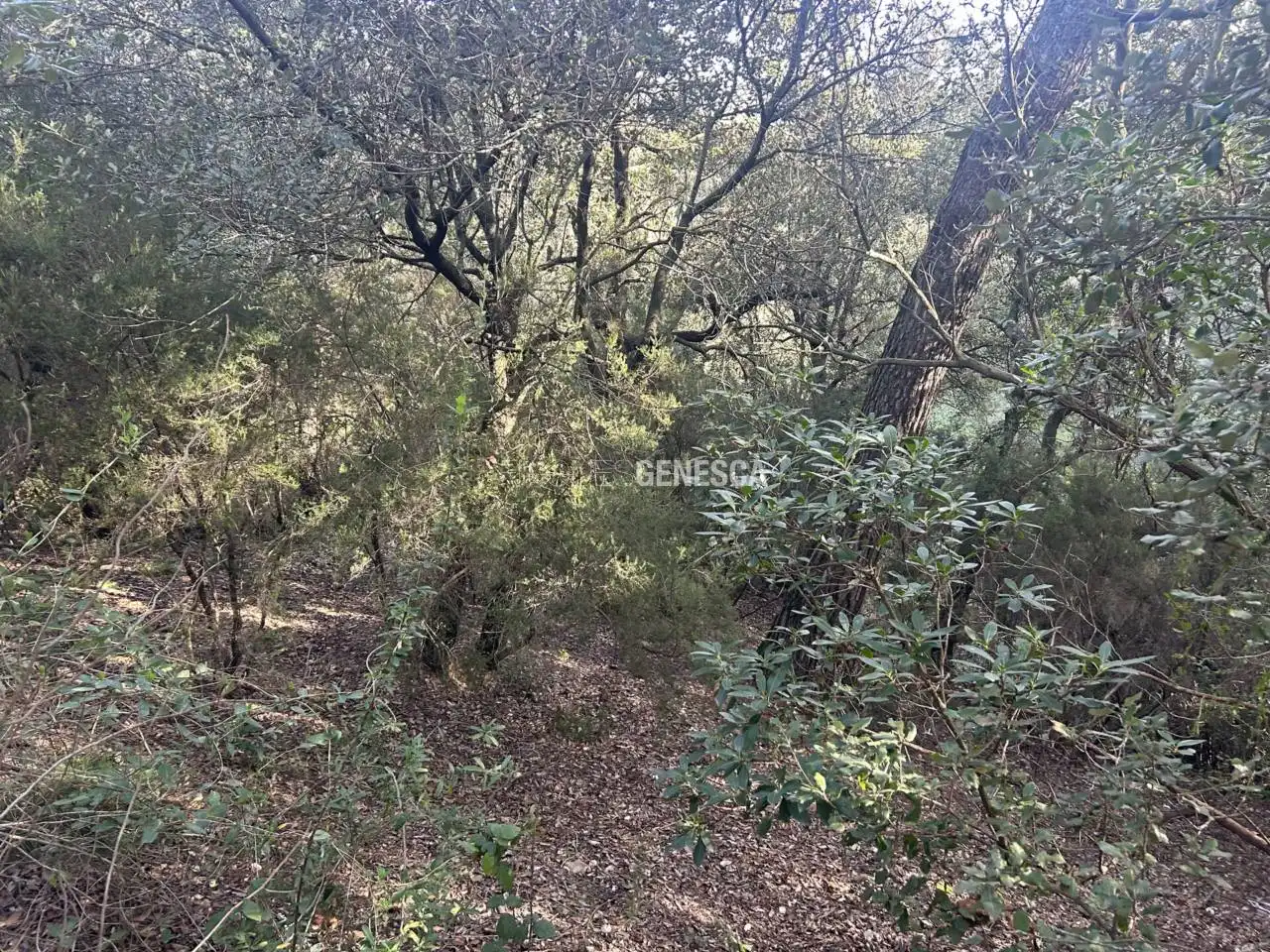 Wohnbaugrundstück zum Verkauf in Calle Notalena 11, imagen 11