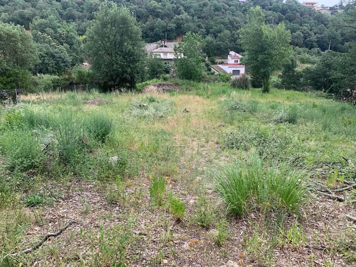 Terreny residencial en venda a Riells i Viabrea, imagen 10