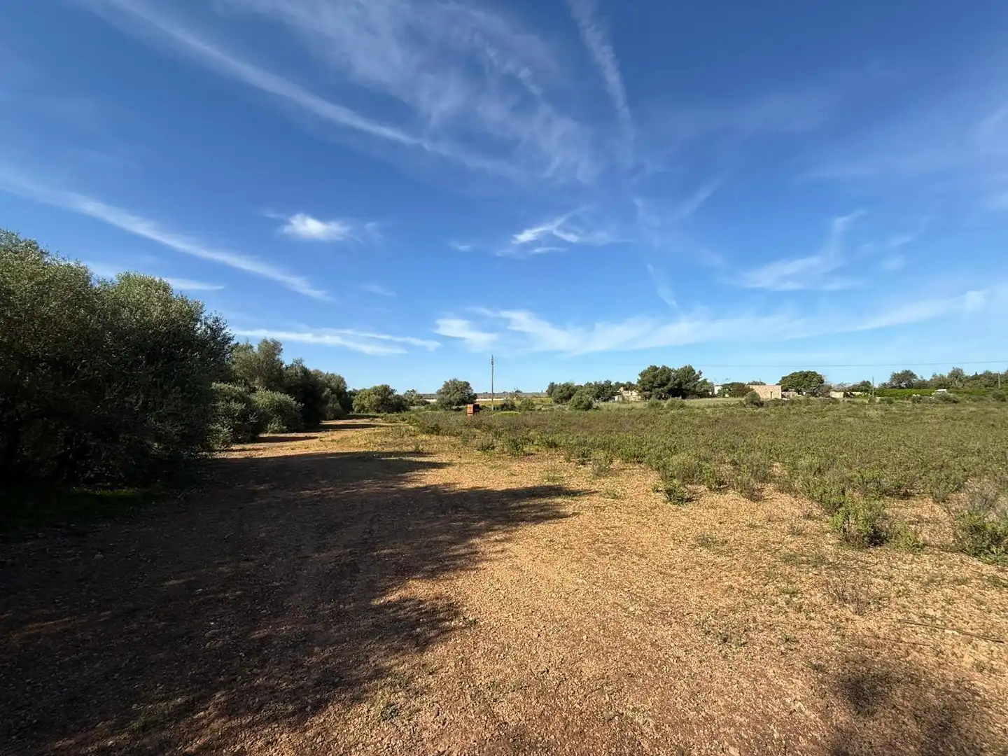 Grundstücke und Bauplätze zum Verkauf in Llucmajor pueblo, imagen 15