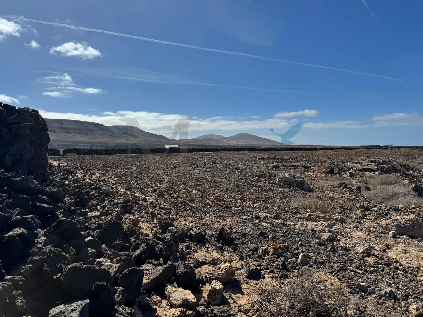 Land for sale in La Oliva