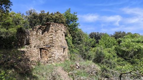 Foto 3 de Finca rústica en venta en Ribera d'Urgellet, Lleida