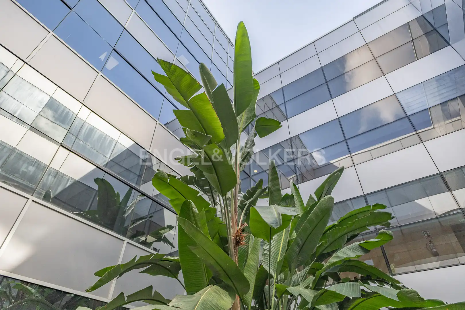 Vista exterior de Oficina de alquiler en Sant Cugat del Vallès