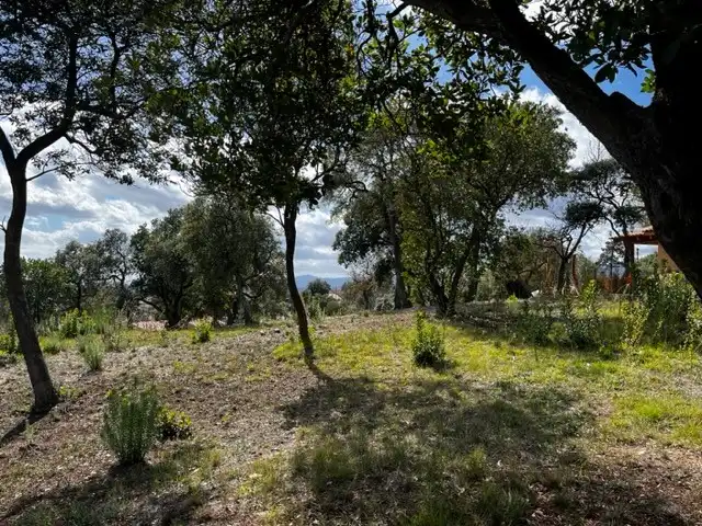 Terrain résidentiel à vendre à Urbanitzacio Mas Llunes 1869, imagen 5