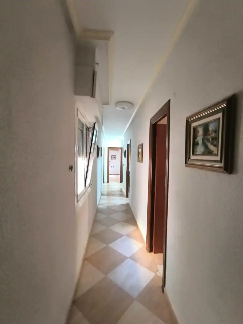 Appartamento con terrazza in vendita a Calle Juan XXIII 20, imagen 19