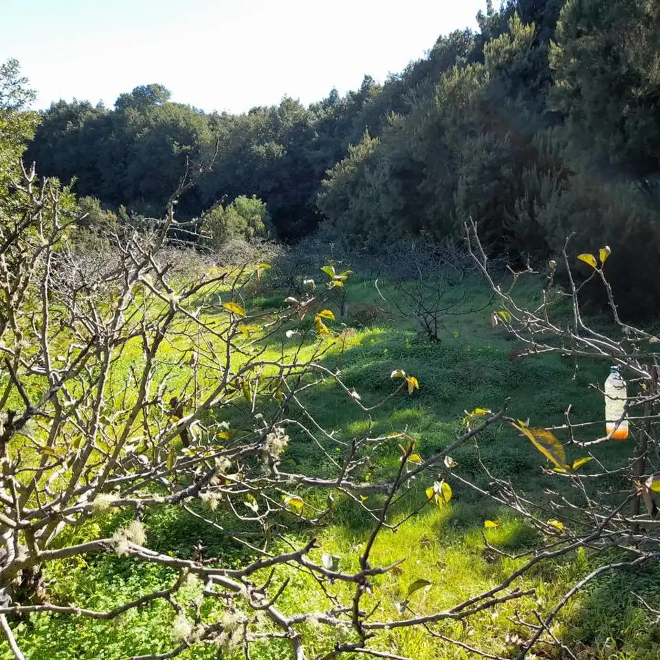 Rural land for sale in Hoya De Manzaneros, imagen 5