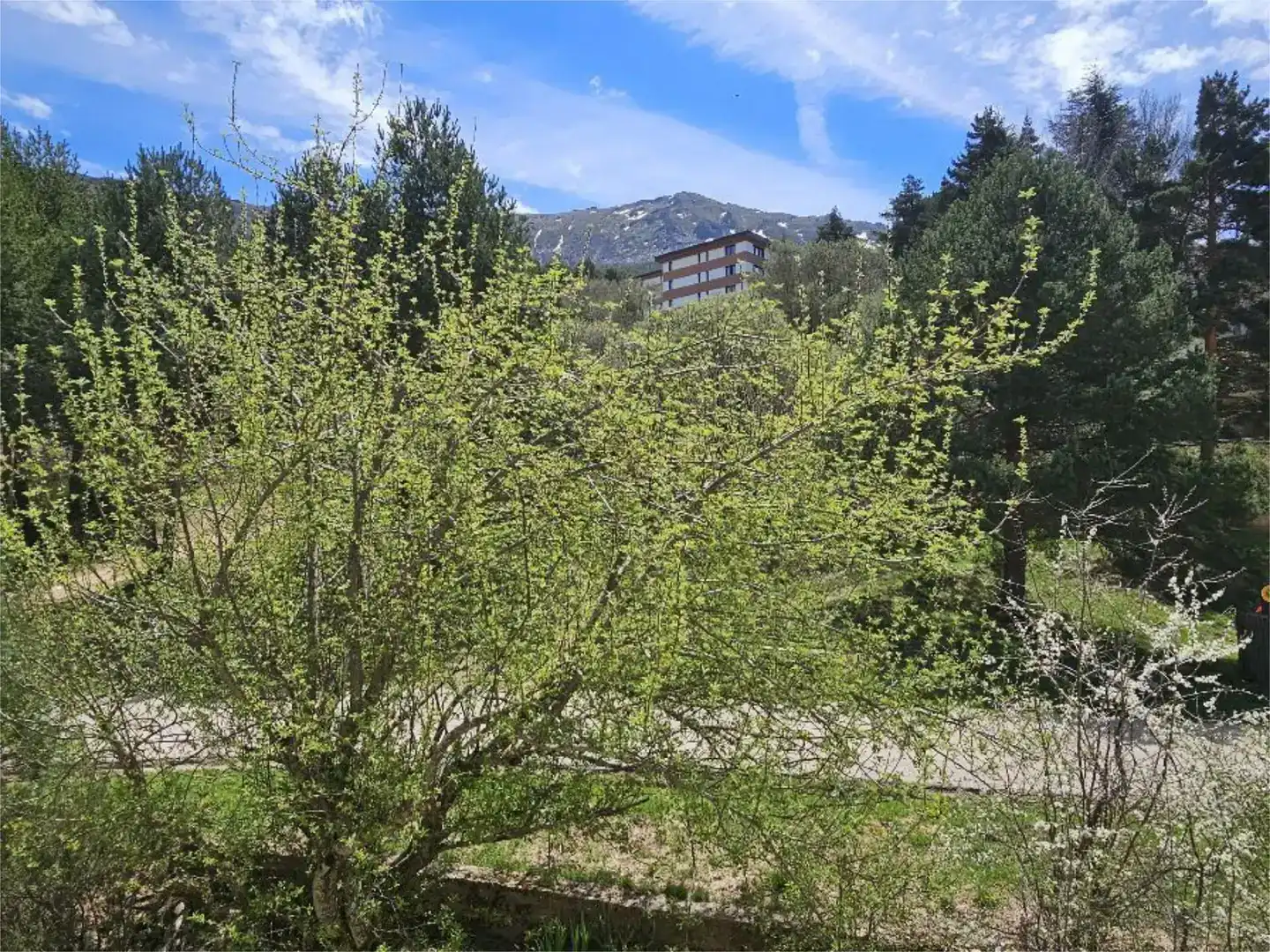 Vista exterior de Estudi en venda en Cerezo de Arriba