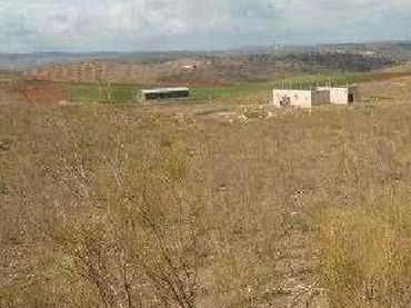 Rural land for sale in Llera