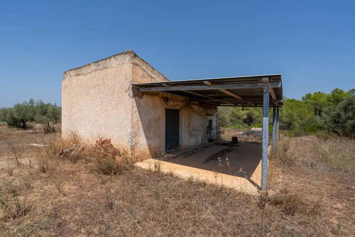 Rural land for sale in C-12 77, imagen 13