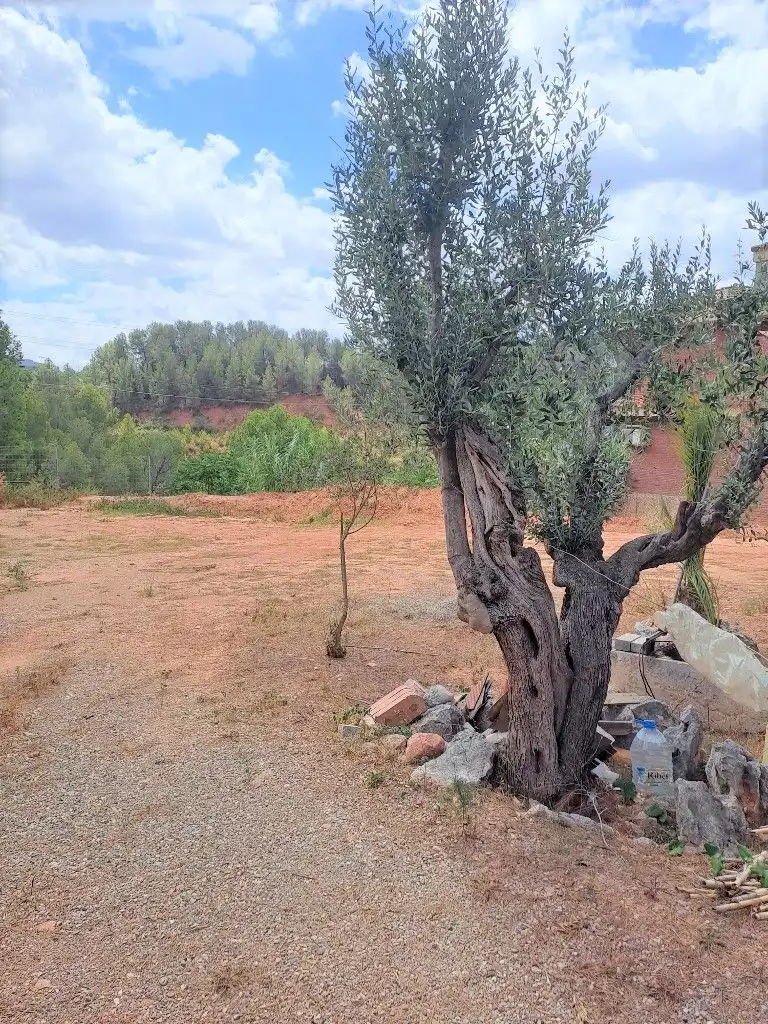 Residential land for sale in Carrer Garbí, imagen 3