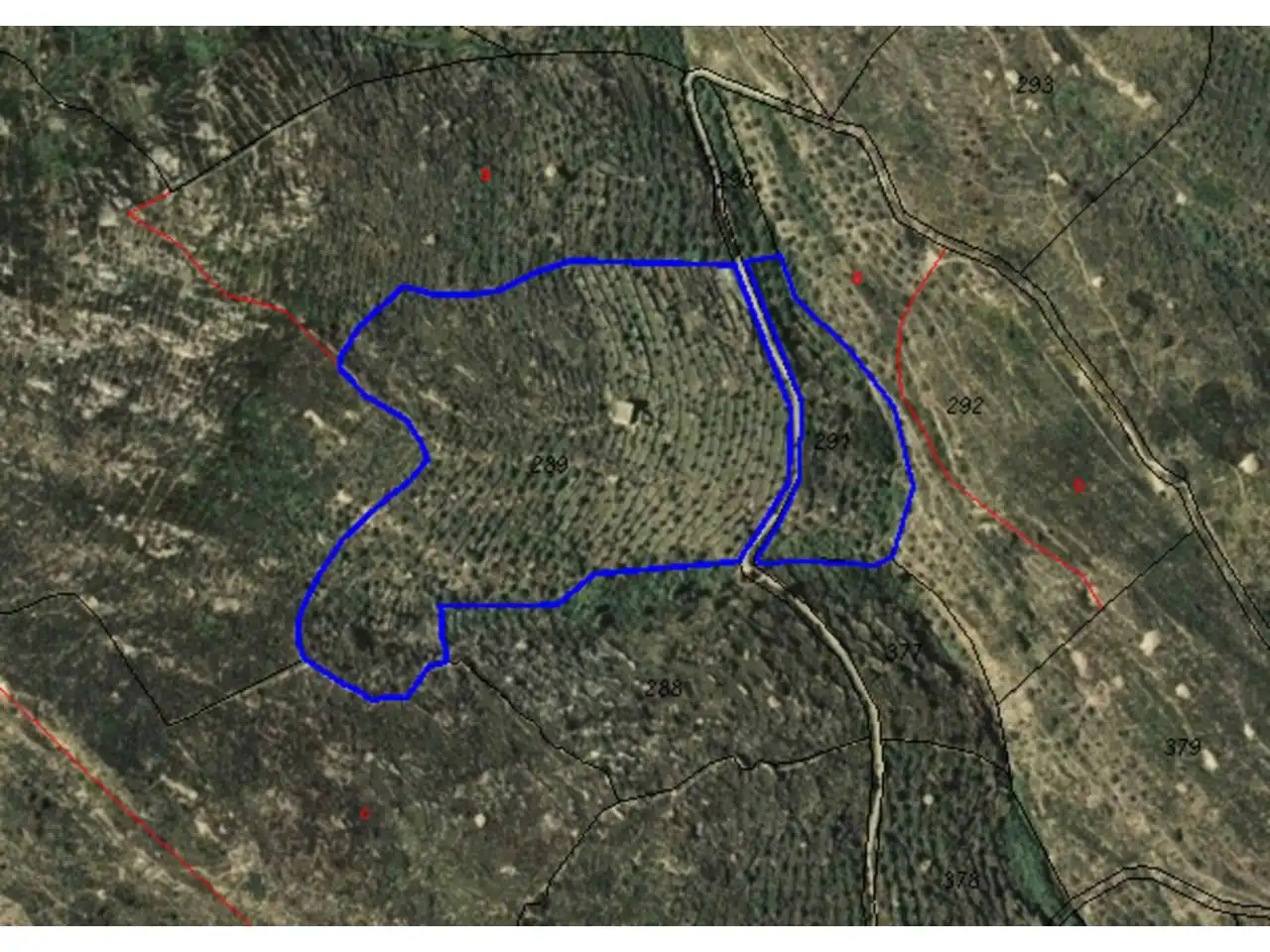 Rural land for sale in Mas de la Senyora, imagen 12