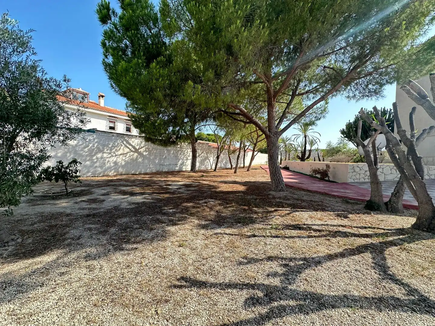 Jardí de Casa o xalet en venda en Alicante / Alacant amb Jardí privat, Terrassa i Traster