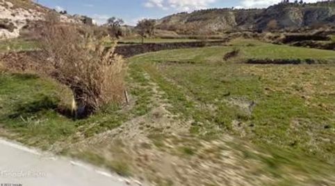 DOS FINCAS DE REGADÍO, immagine 2