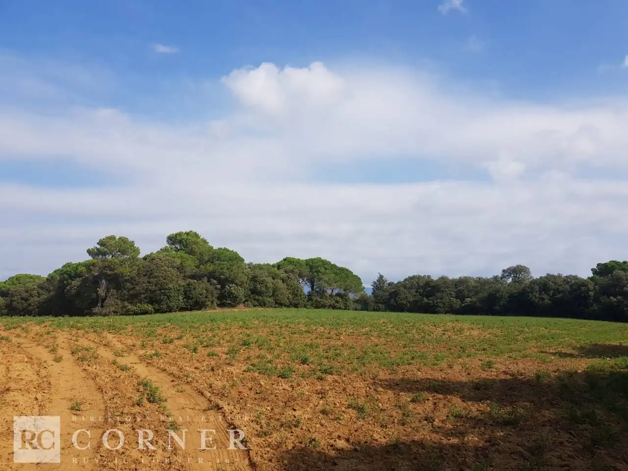 Finca rústica en venta en Dosrius poble