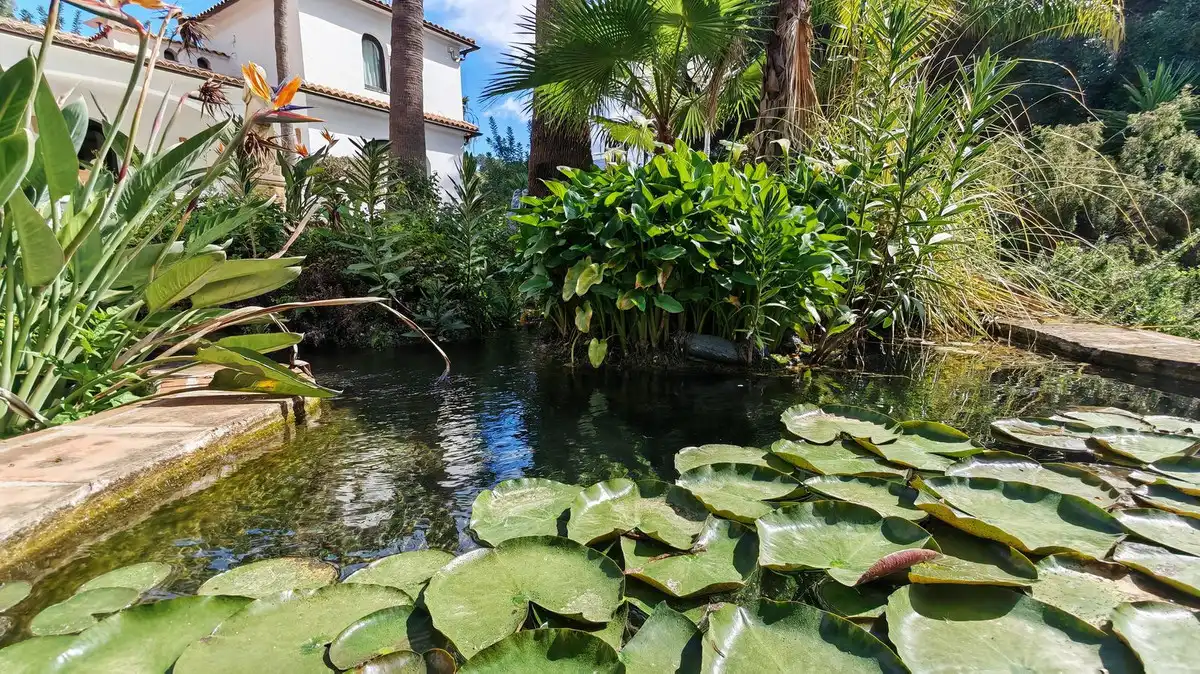 Jardí de Finca rústica en venda en Alhaurín El Grande amb Aire condicionat, Jardí privat i Terrassa