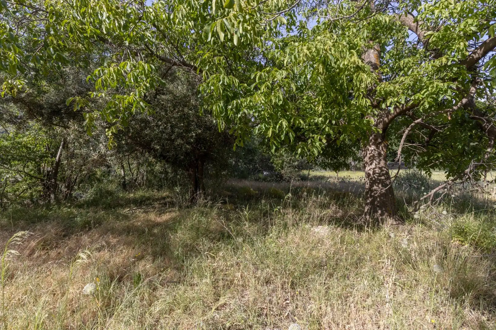 Lands and plots for sale in Carretera de Maitena, imagen 15