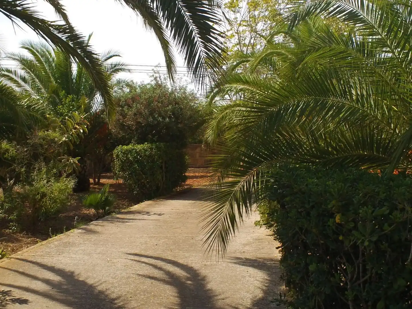 Maison à vendre à Manacor Centre, imagen 13