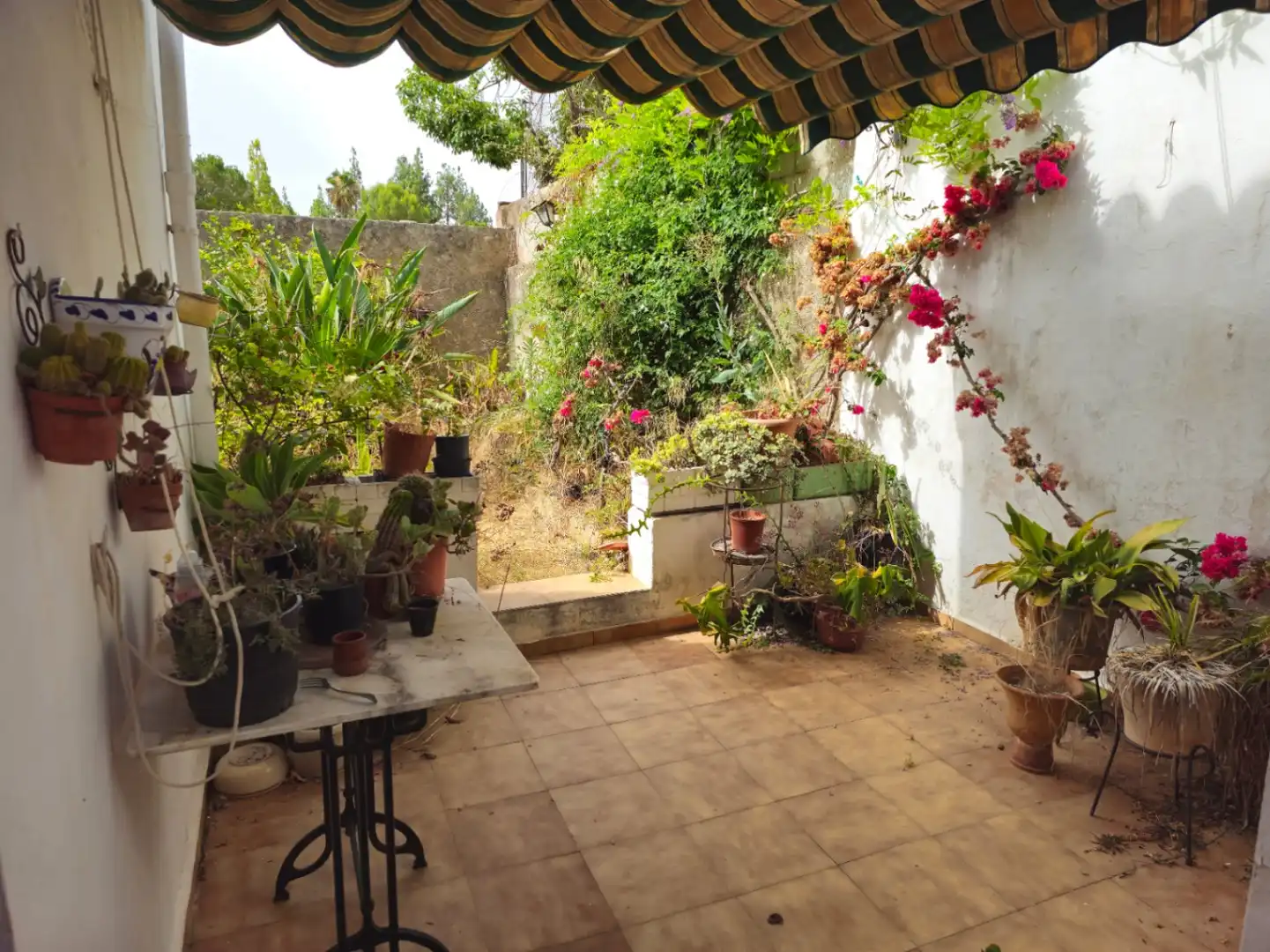 Jardín de Finca rústica en venta en Sagra con Terraza y Balcón