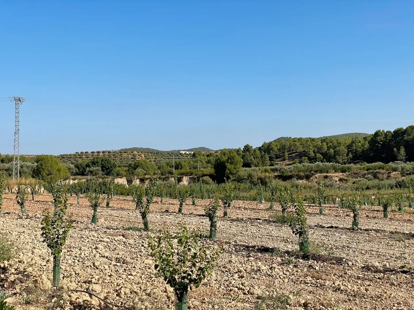 Terreno rustico in vendita a Cehegín, imagen 10