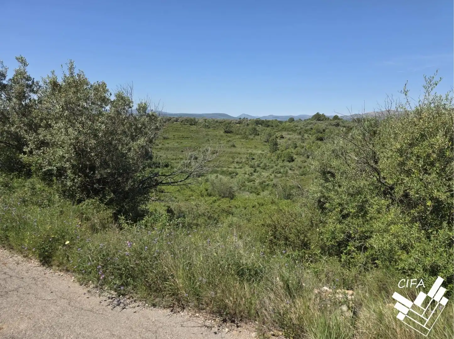Terrain rustique à vendre à Polígono Sant Mateu, imagen 5