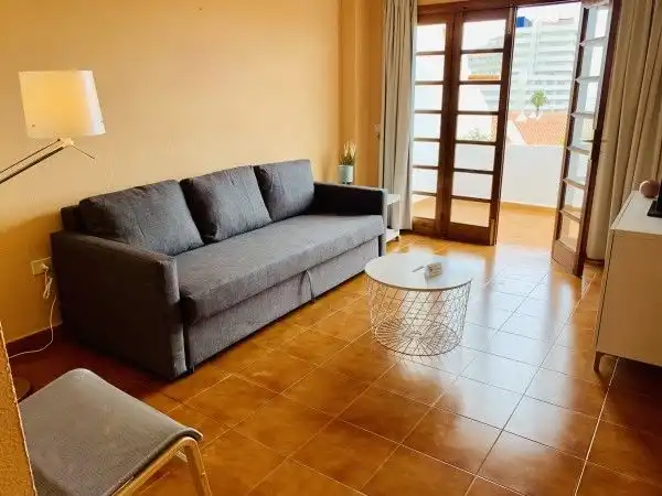 Sala de estar de Apartamento en venta en Adeje con Terraza, Amueblado y Horno
