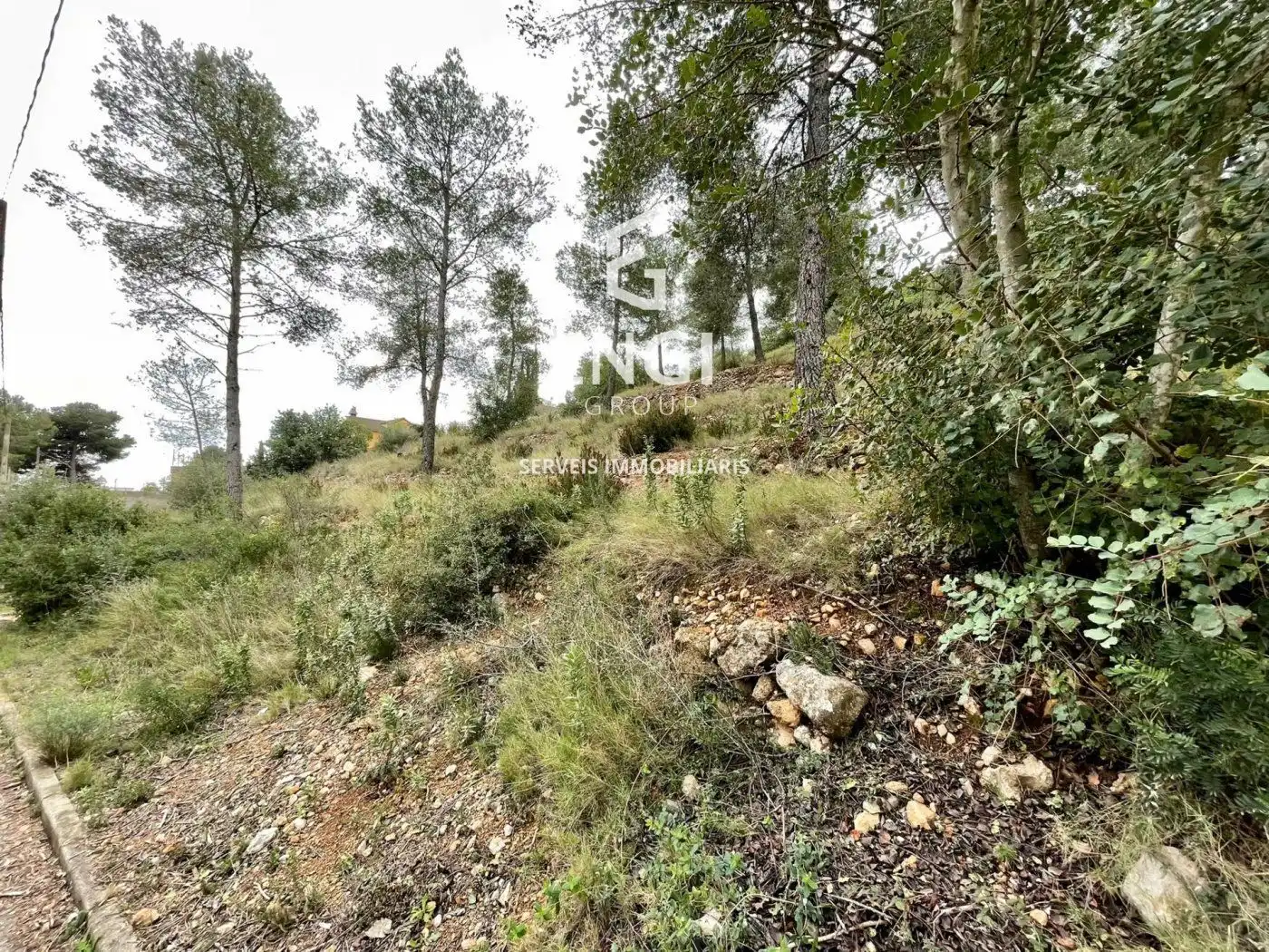 Rural land for sale in Segovia-Priorat, imagen 5