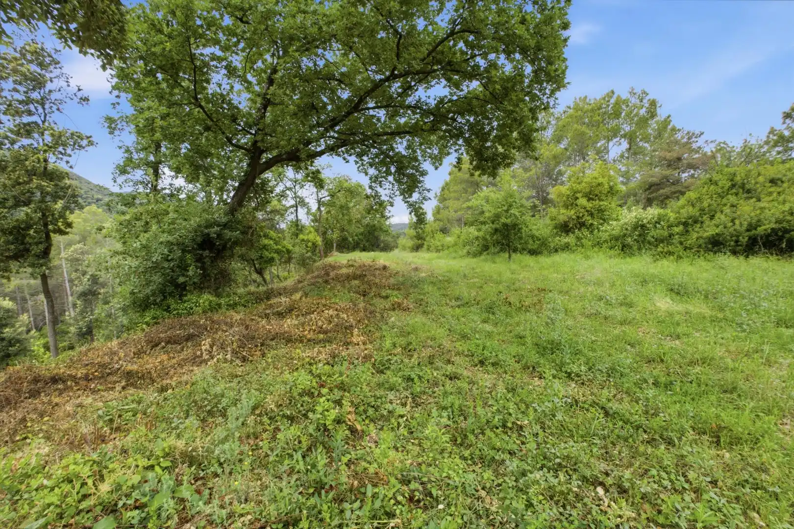 Residential land for sale in 120A,  Avinguda de Catalunya, imagen 20
