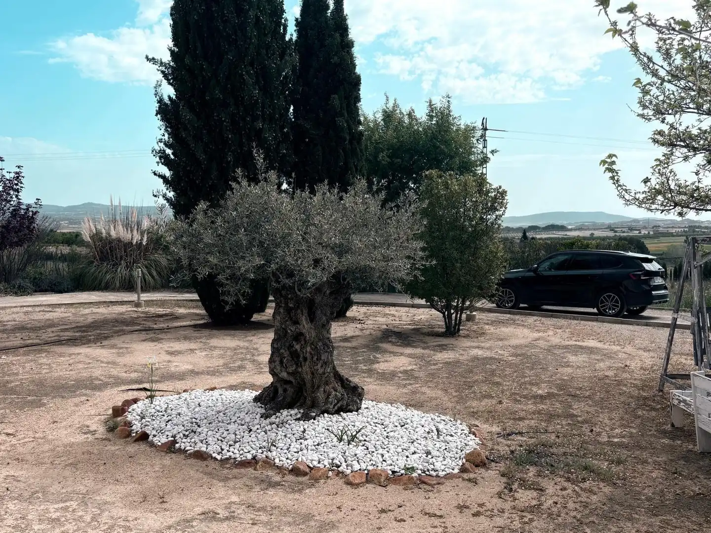 Jardí de Casa o xalet en venda en Almansa amb Calefacció, Jardí privat i Terrassa