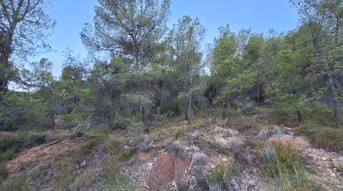 FINCA RÚSTICA FORESTAL EN VENTA CON VISTAS PANORAMICAS  CASTALLA ALICANTE, immagine 3