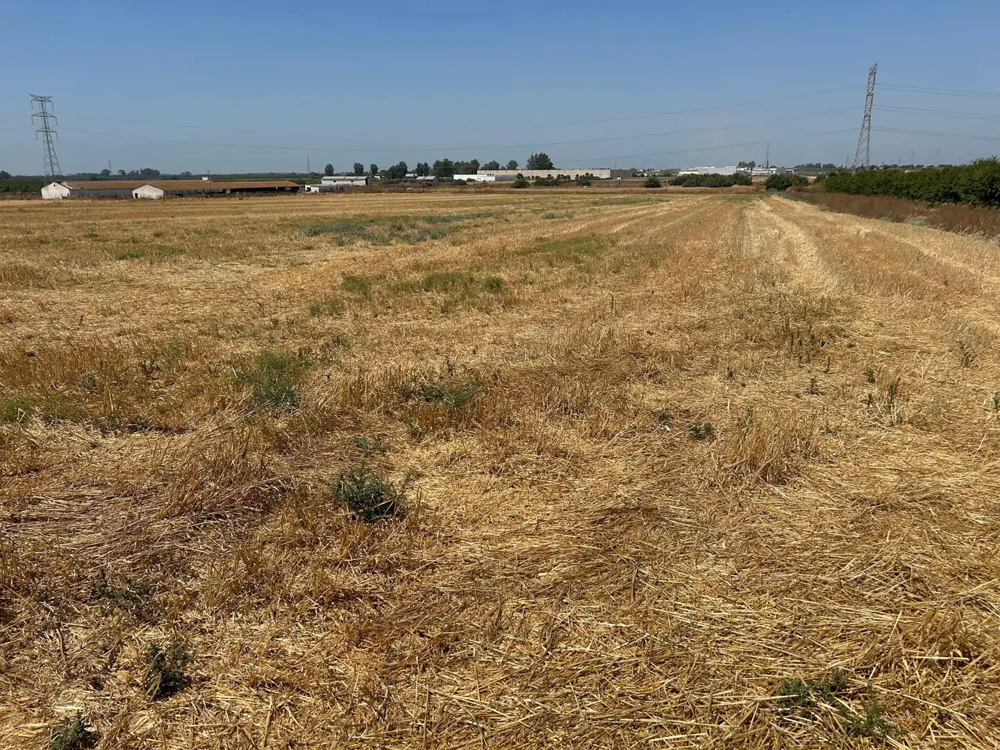 Terreno residencial en venta en POLIGONO 3 PARCELA 317 LA DEHESILLLA, imagen 5