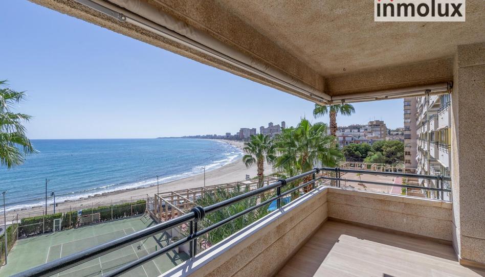 Photo 1 of Flat to rent in Jaime I el Conquistador, Playa Muchavista, Alicante