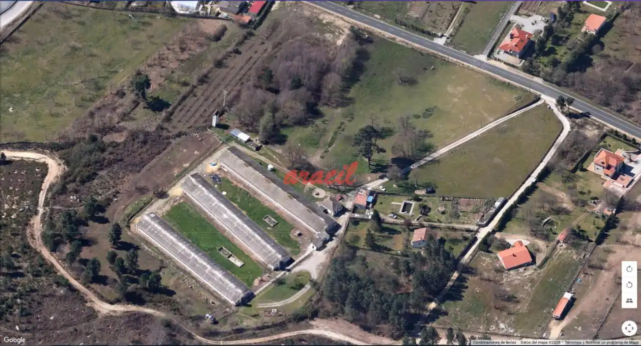 Terreni e lotti in vendita a O Pereiro de Aguiar, imagen 6