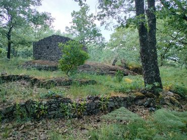 Terreno rustico in vendita a Villanueva de la Vera