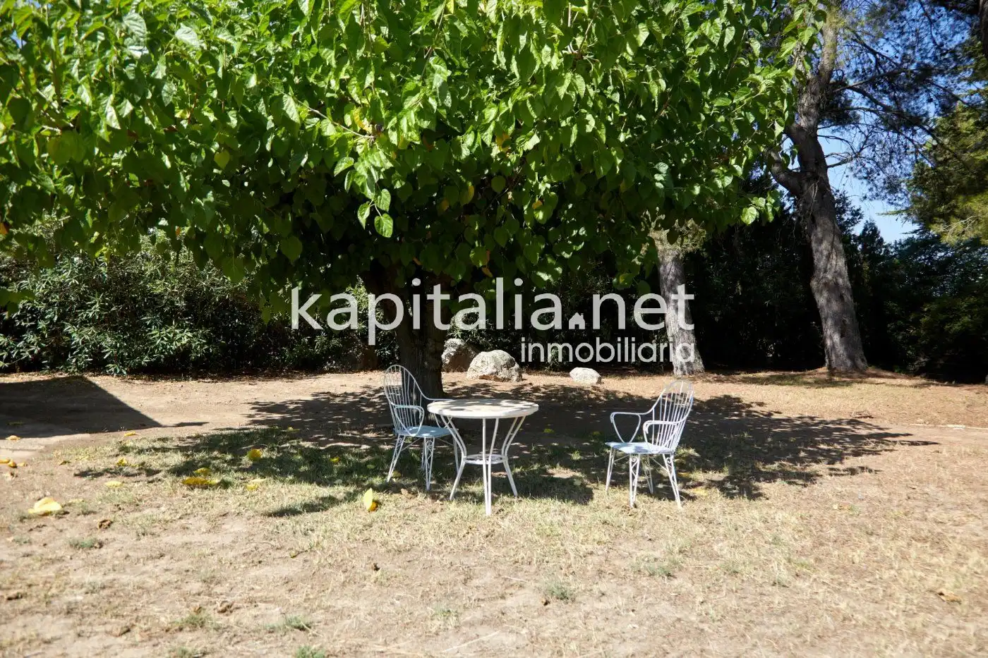 Chalet en venta en El Pilar, imagen 23
