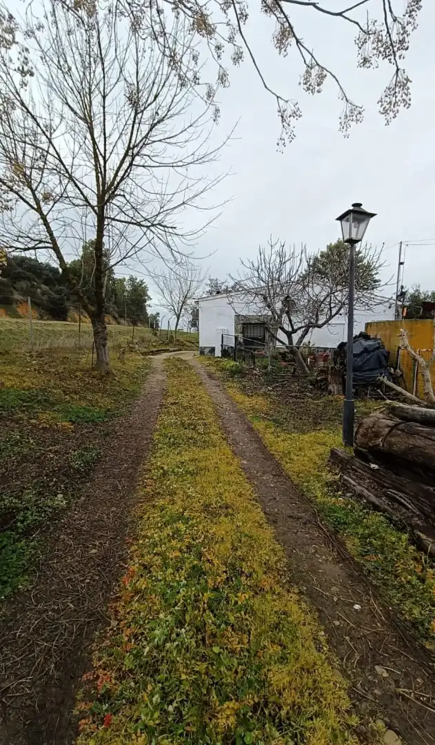 Terreni e lotti in vendita a Talavera la Real, imagen 2