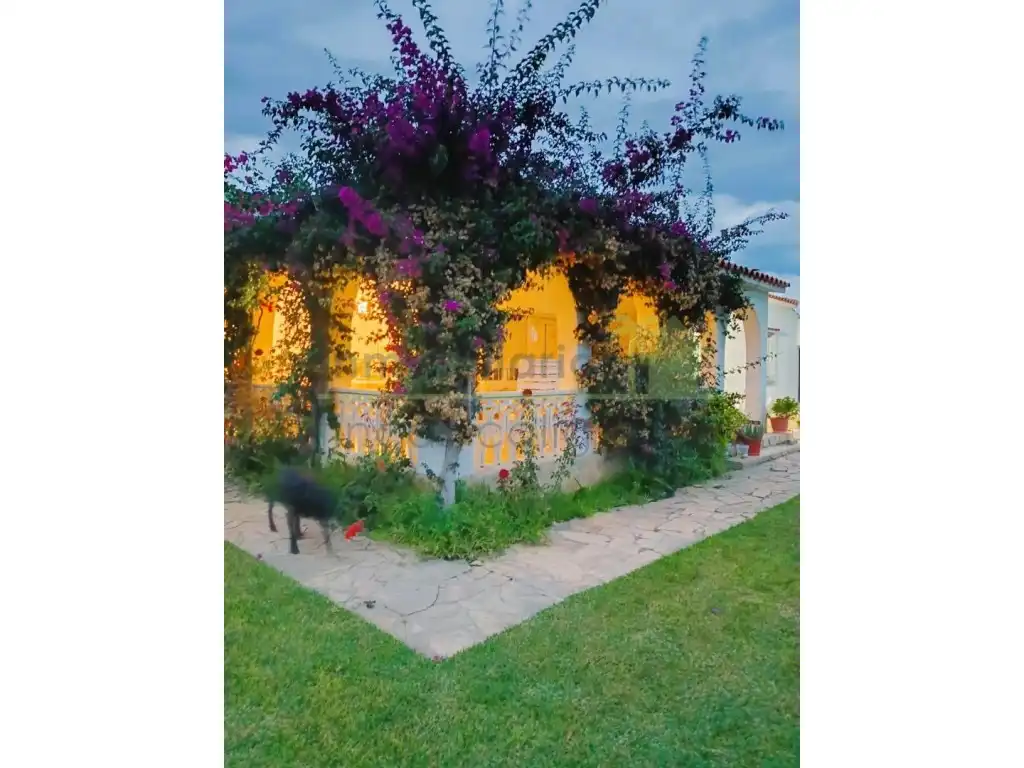 Garden of Houses for sale in Vinaròs  with Private garden, Terrace and Swimming Pool