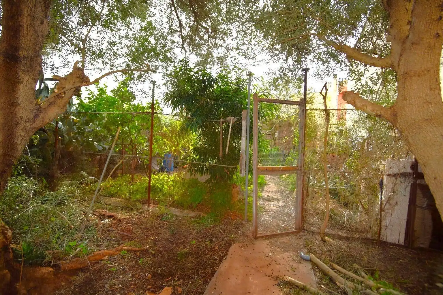 Lands and plots for sale in Carrer del Bisbe Miquel Moncadas, imagen 8