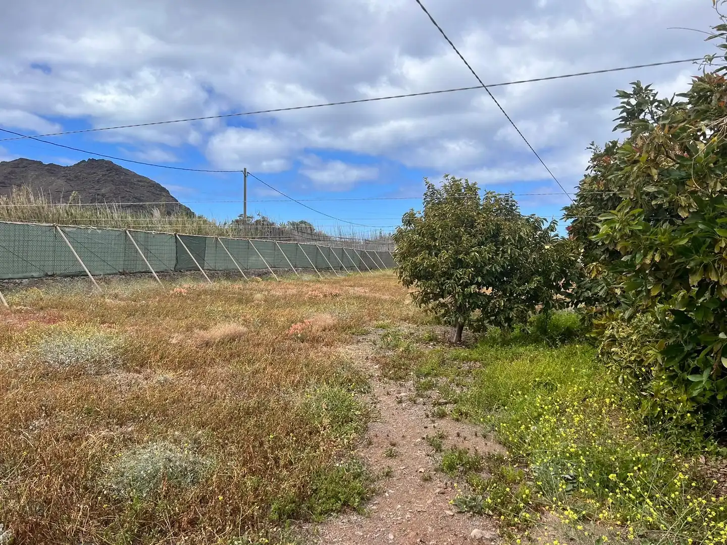 Finca rústica en venta en La Aldea de San Nicolás  con Jardín privado y Trastero