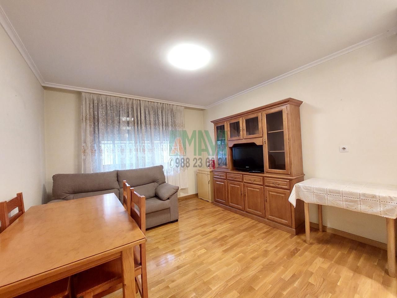 Sala d'estar de Apartament en venda en Ourense Capital  amb Calefacció, Traster i Moblat