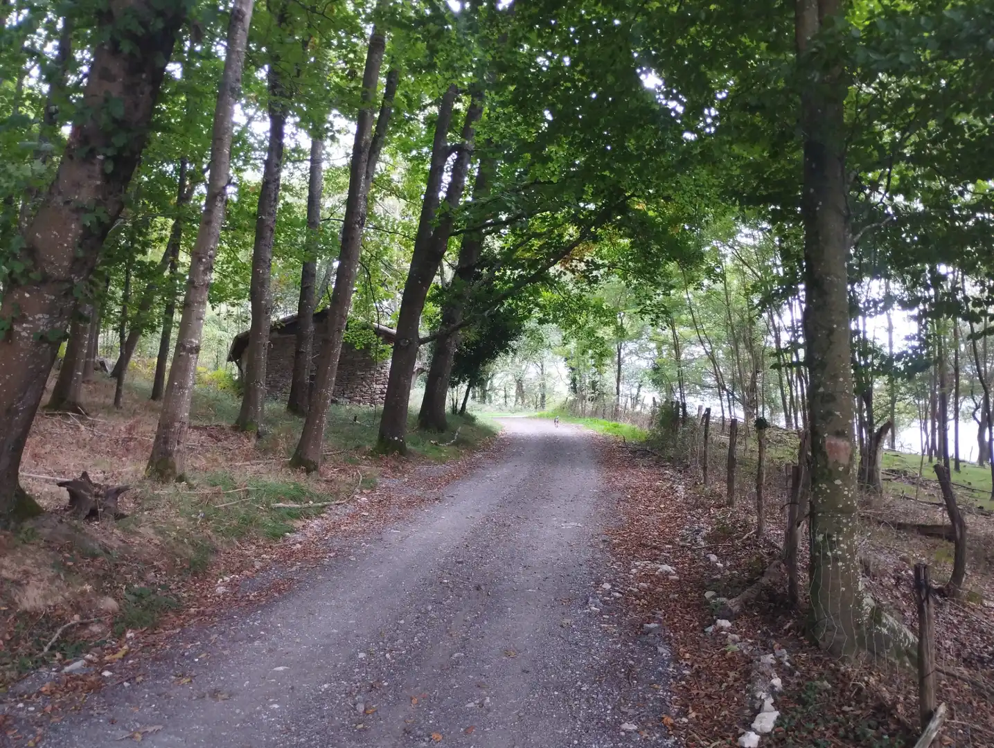 Finca rústica en venta en Gaztelu, Gipuzkoa